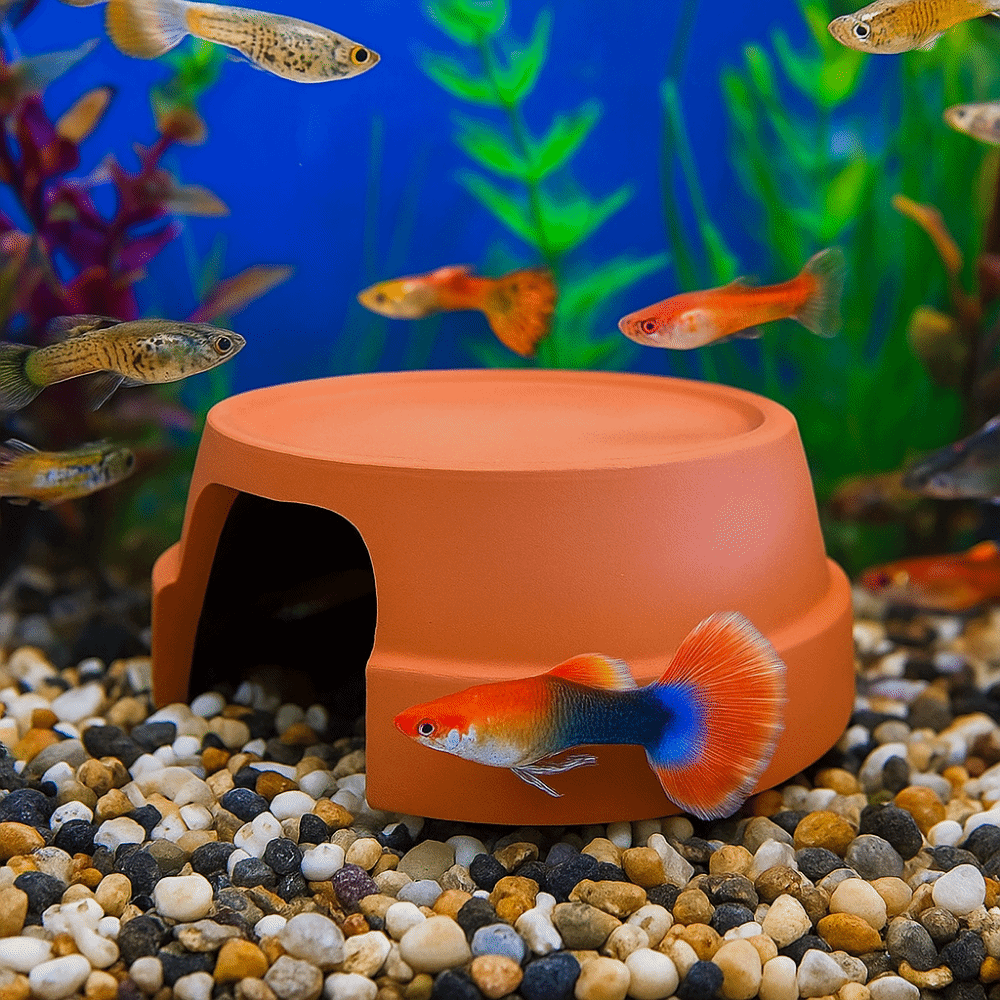 Multifunctional Ceramics Repti - Hide Cave Ceramic avis et prix