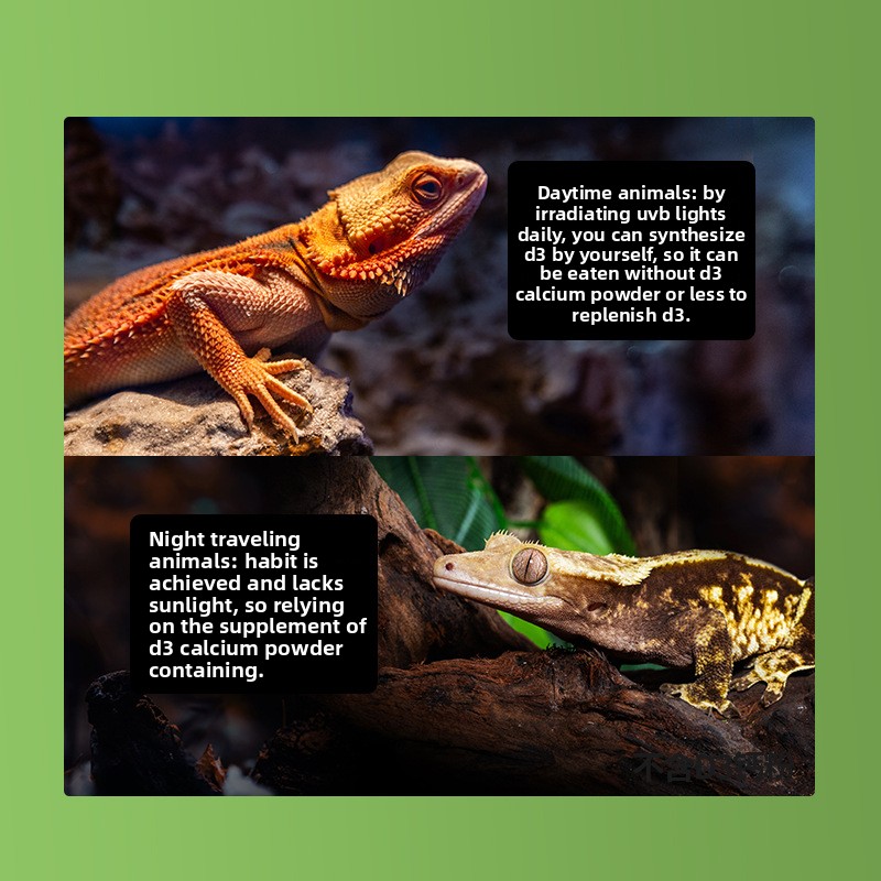 Reptizoo Reptile Calcium Powde - Calcium Powder Reptile avis et prix