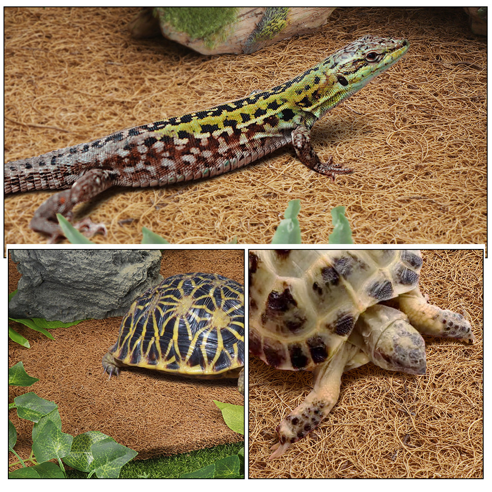 Reptile Carpet Natural Coconut - Substrate Coconut Fiber avis et prix