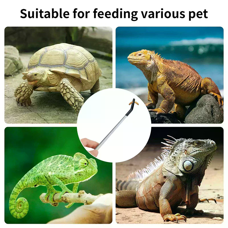 Straight and Curved Aquarium T - Feeding Tong Stainless avis et prix