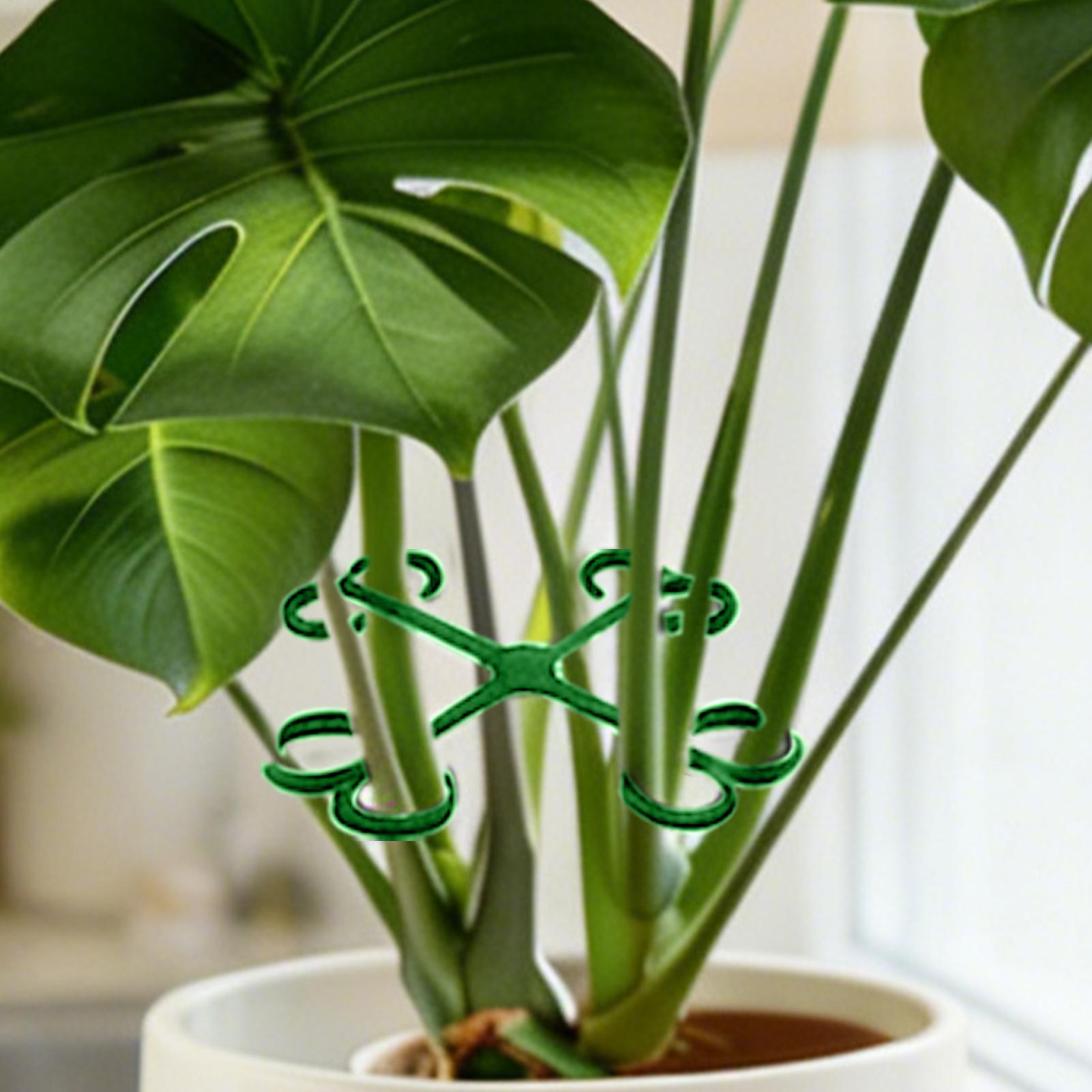 4Pcs Plant Stem Support Clips  - Vine Climbing Plastic avis et prix