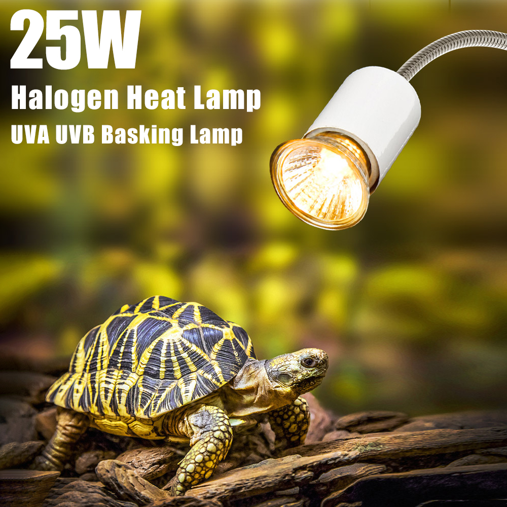 25W Halogen Heat Lamp UVA UVB  - Basking Bulb Halogen avis et prix
