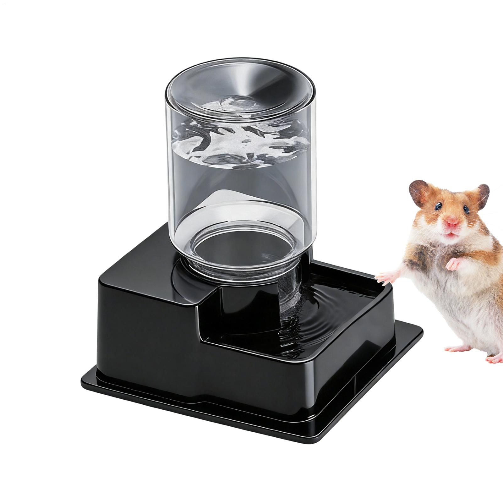 Bearded Dragon Water Fountain  - Water Dish Reptile avis et prix