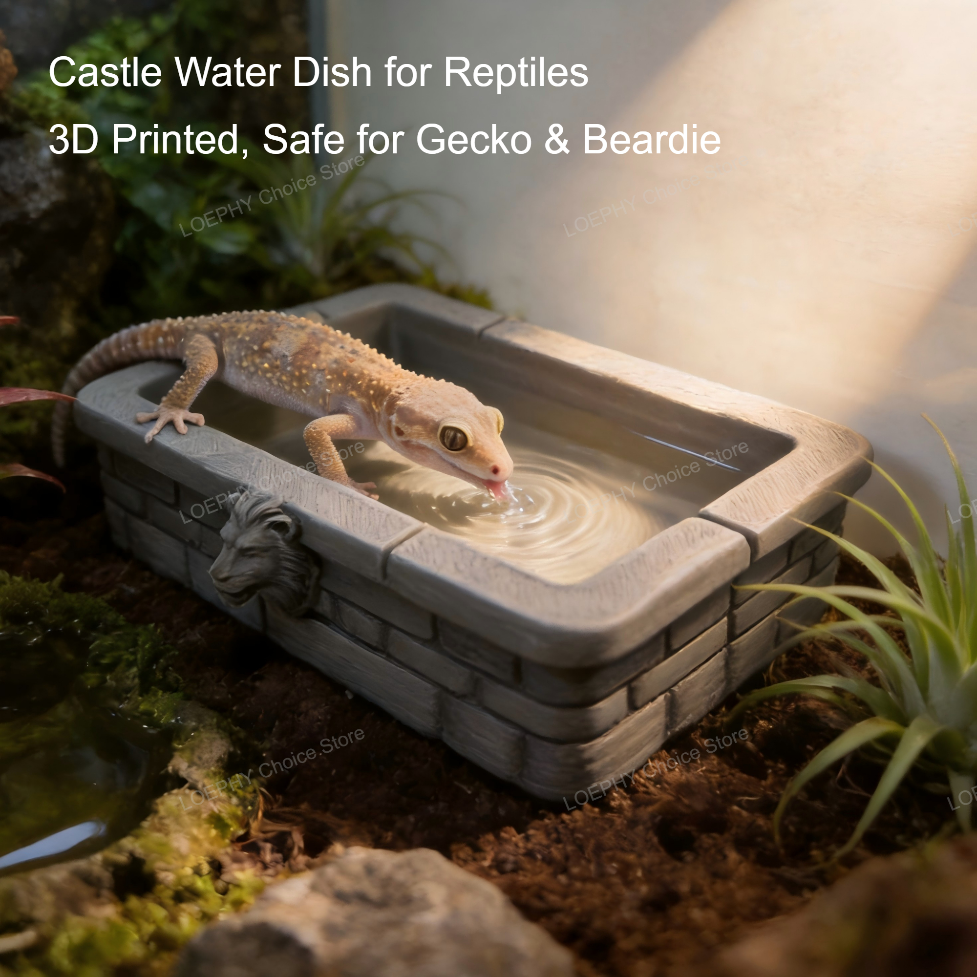 Reptile Water Bowl 3D Printed  - Water Dish Reptile avis et prix