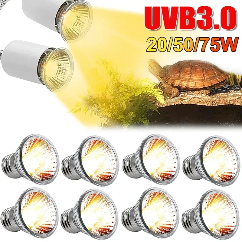 75/50/25W Tortoise Lizard Bask - Calcium Powder Reptile avis et prix