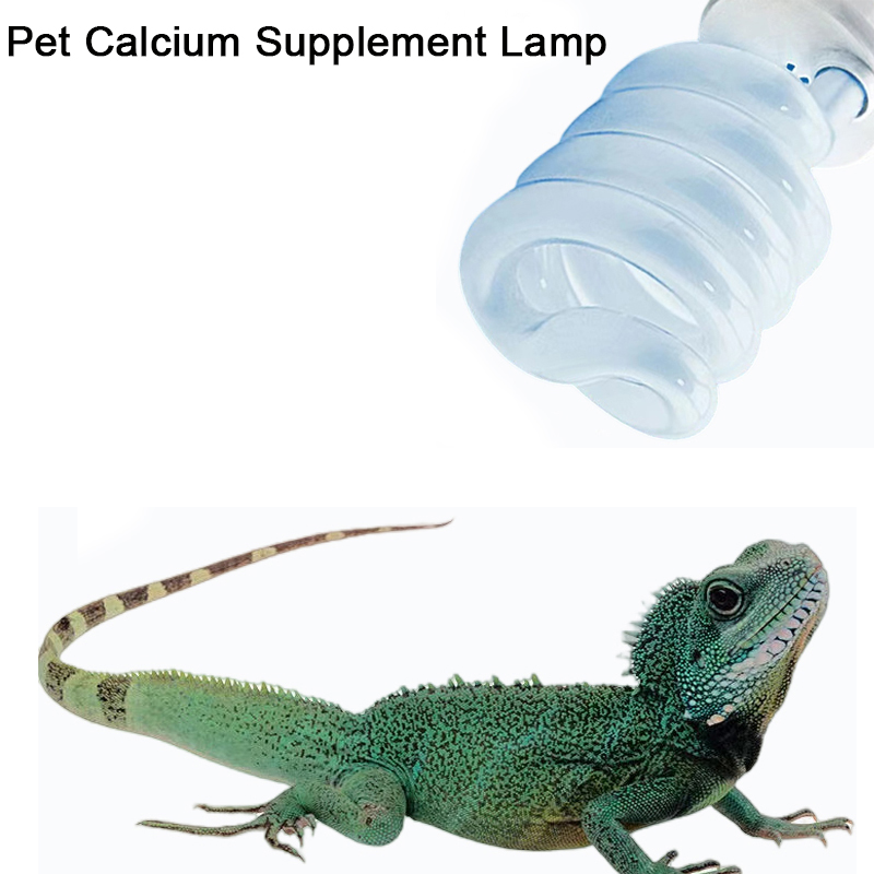 E27 13W/26W Reptile Uvb Lamp   - Calcium Powder Reptile avis et prix