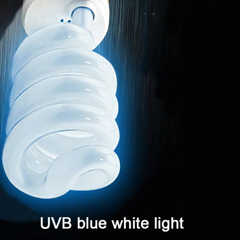 E27 13W/26W Reptile Uvb Lamp   - Calcium Powder Reptile avis et prix