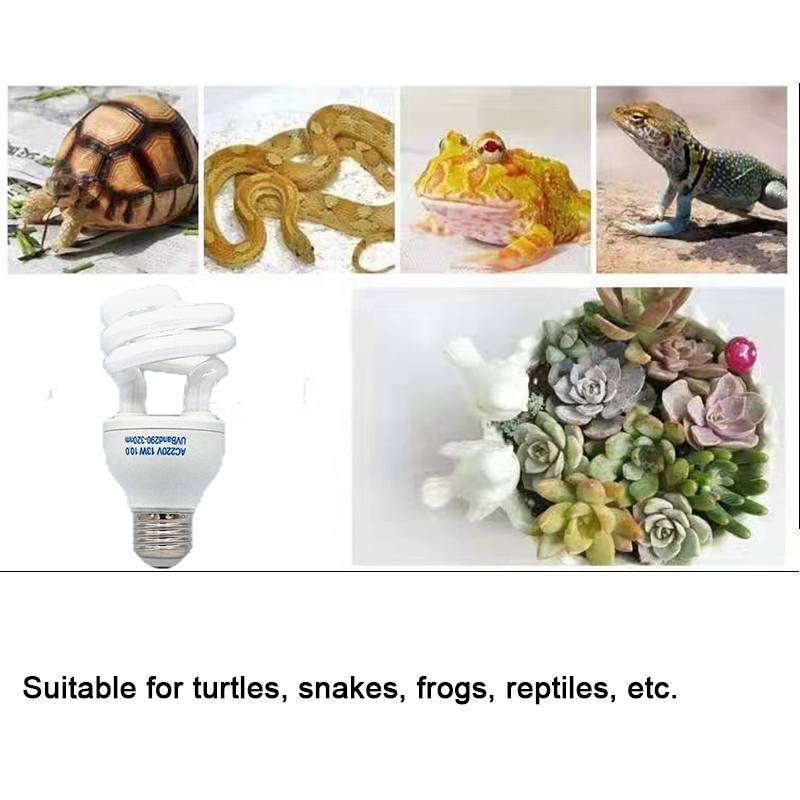 E27 13W/26W Reptile Uvb Lamp   - Calcium Powder Reptile avis et prix