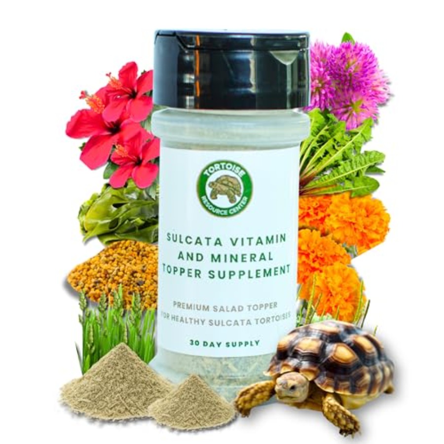 【Spot goods】Sulcata Tortoise C - Calcium Powder Reptile avis et prix