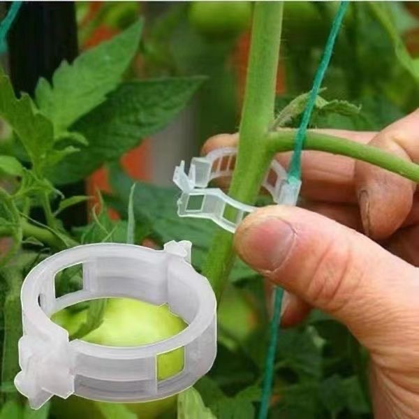 500Pcs Plastic Plant Support C - Vine Climbing Plastic avis et prix
