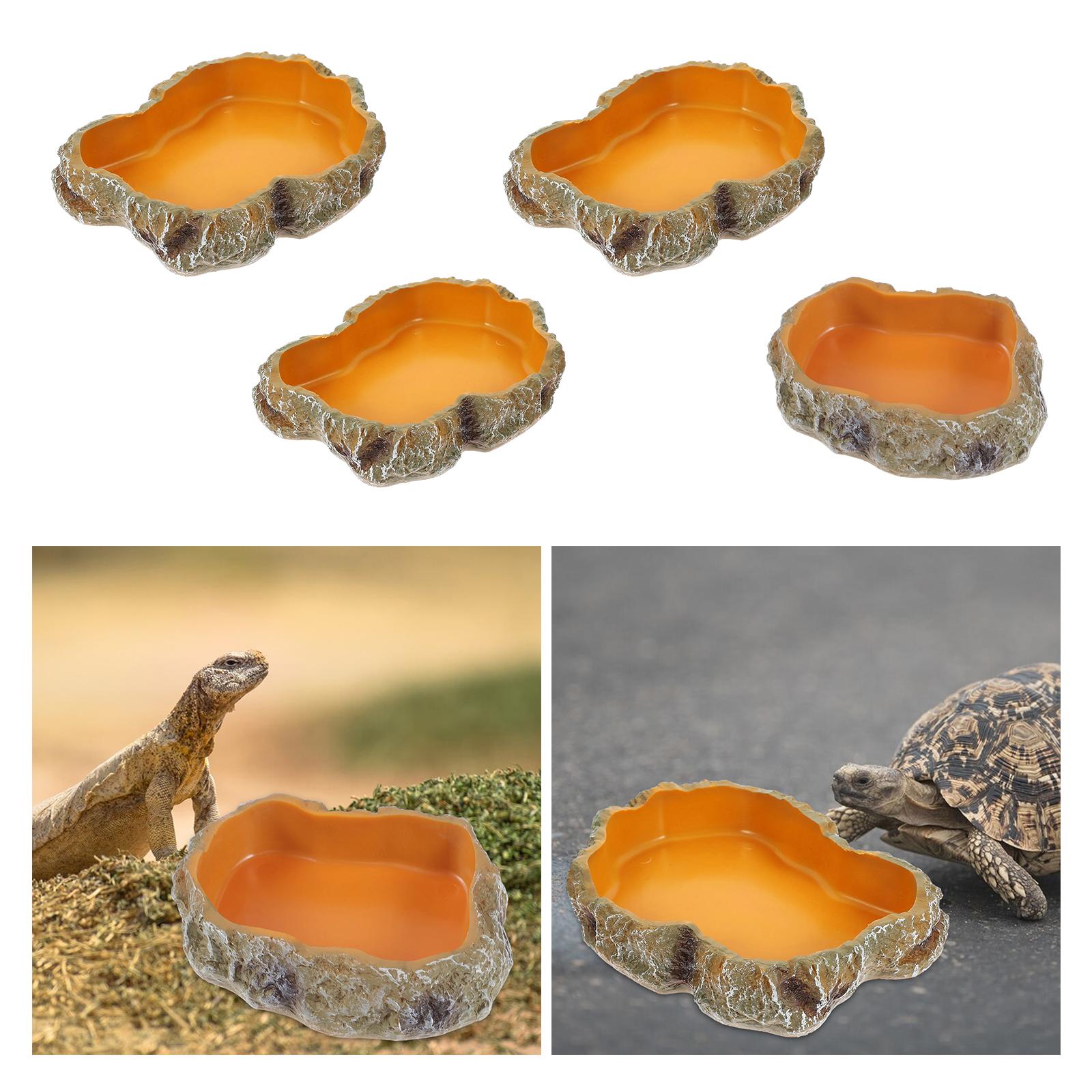 Reptile Water Bowls Decorative - Water Dish Reptile avis et prix