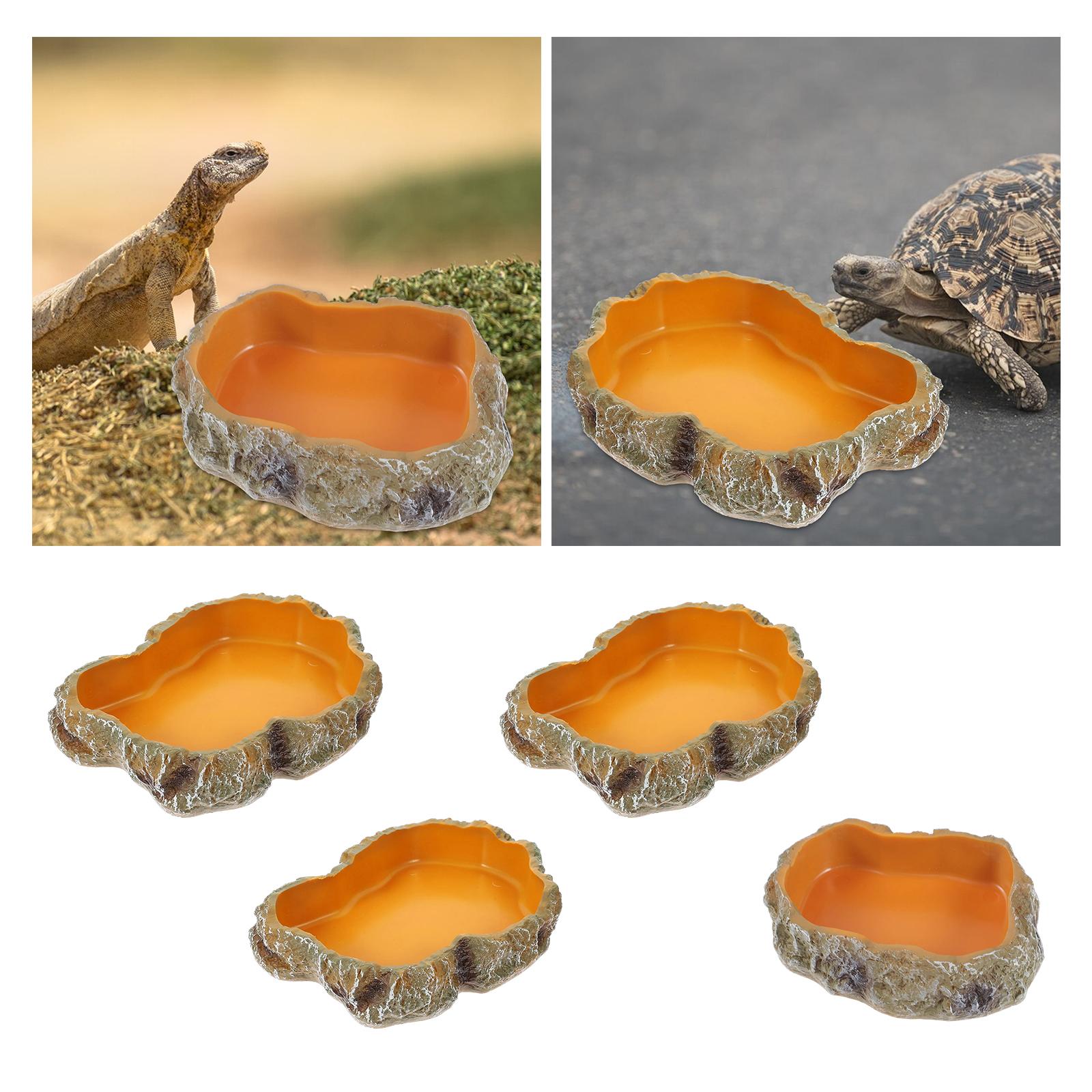 Reptile Water Bowls Decorative - Water Dish Reptile avis et prix