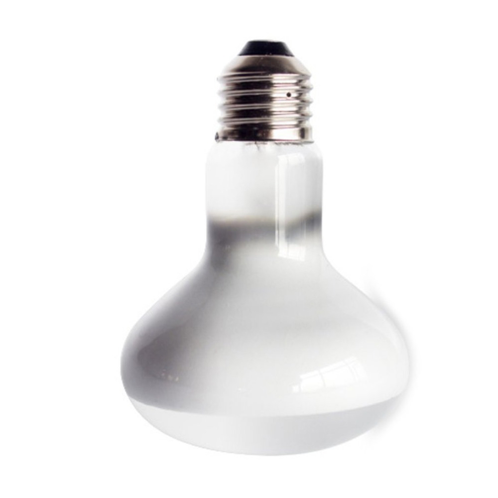 Turtle Temperature Controller  - Basking Bulb Halogen avis et prix