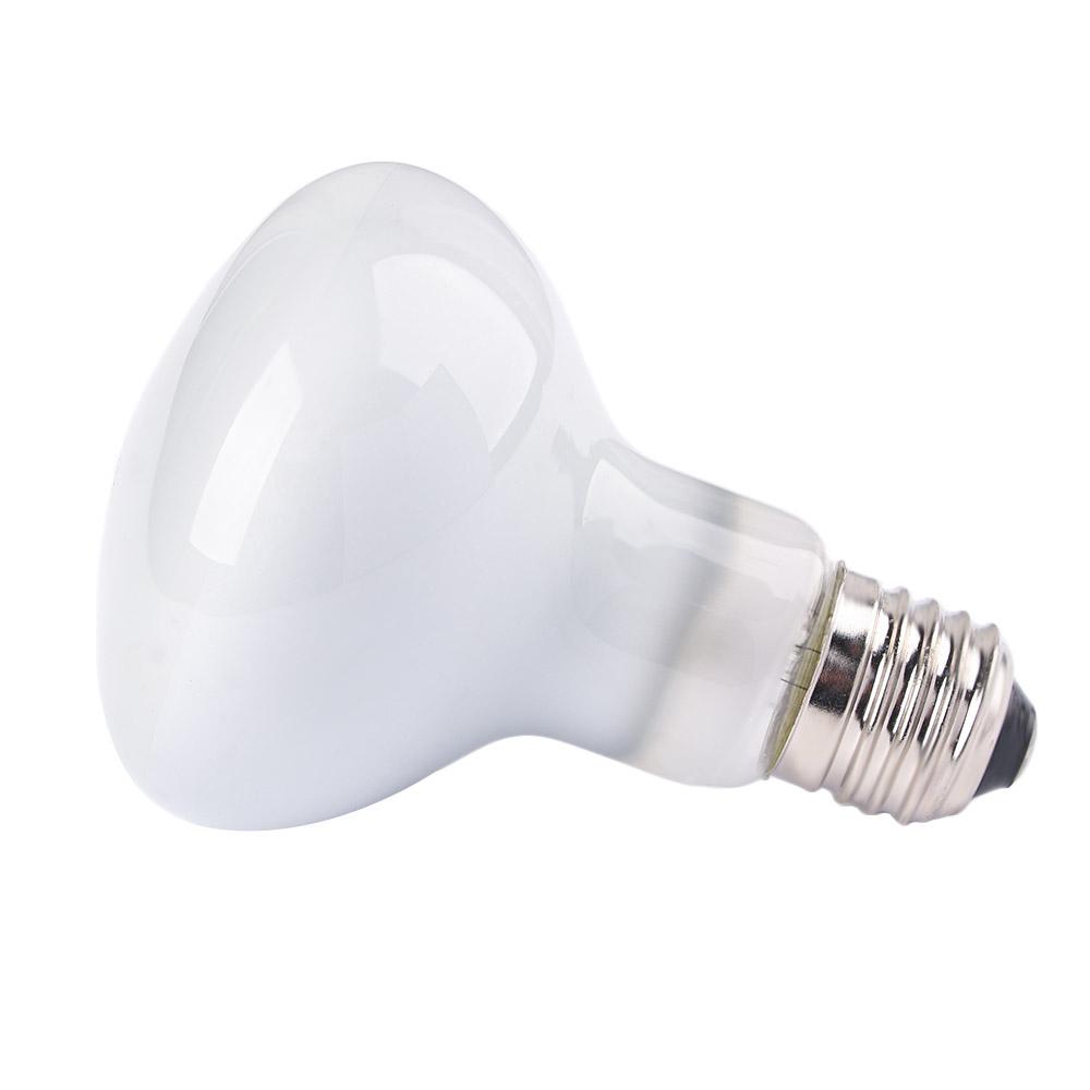 Turtle Temperature Controller  - Basking Bulb Halogen avis et prix
