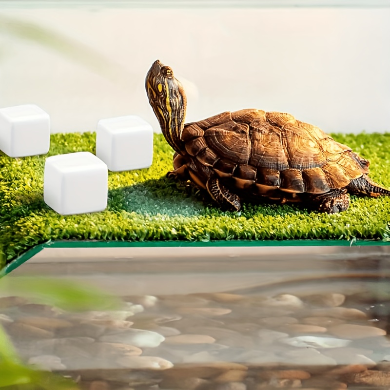 6 Pcs Fish Tank Calcium Block  - Calcium Powder Reptile avis et prix