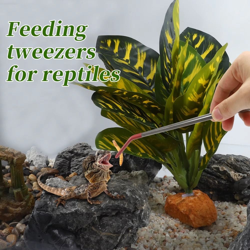 Stainless Steel Aquarium Feedi - Feeding Tong Stainless avis et prix