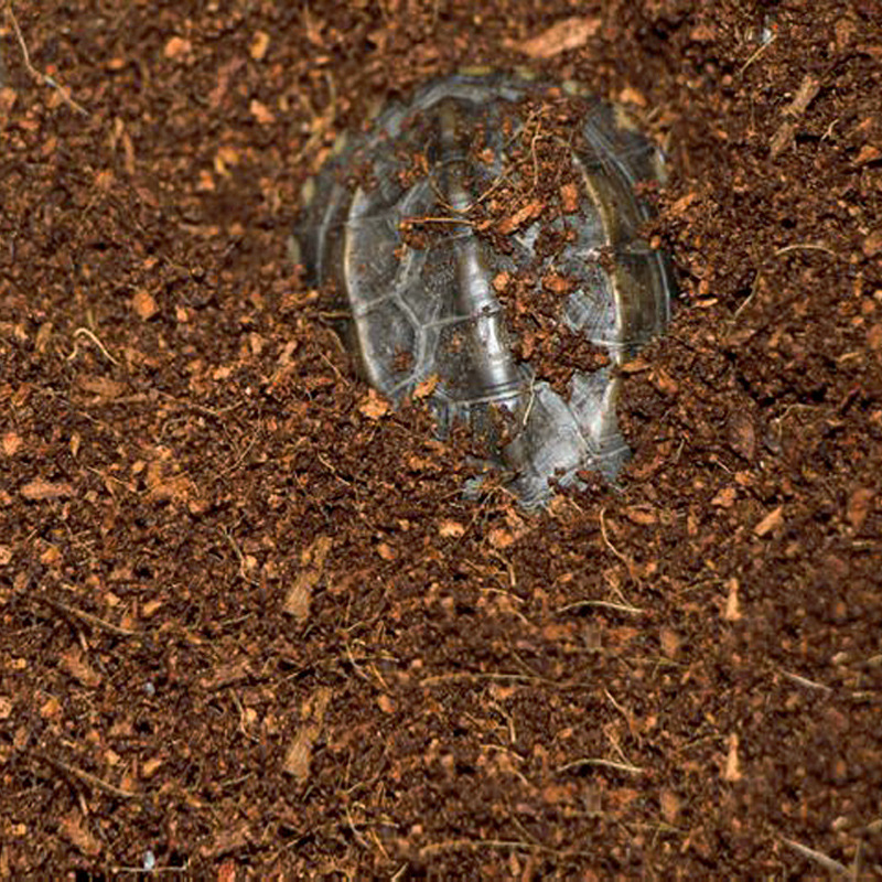 WAJABABY Ready-to-Use Coco Coi - Substrate Coconut Fiber avis et prix