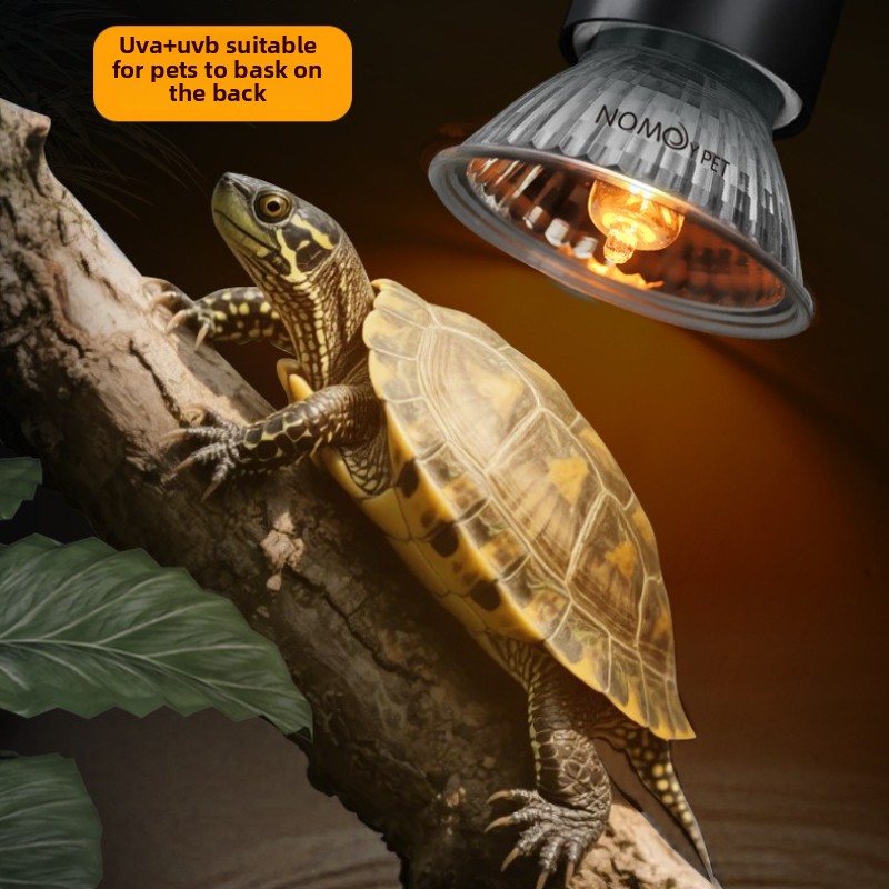 NOMOY 25/50/75w UVB 3.0 Reptil - Vitamin D3 Reptile avis et prix