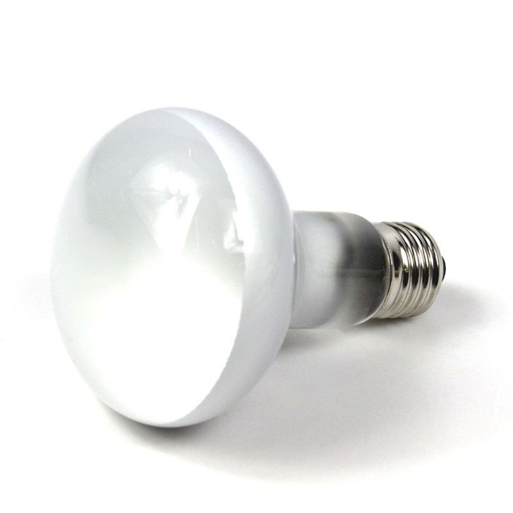 Lizard Heater Temperature Cont - Basking Bulb Halogen avis et prix