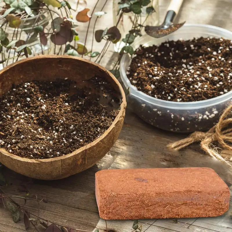 Reptile Coconut Soil Natural C - Substrate Coconut Fiber avis et prix