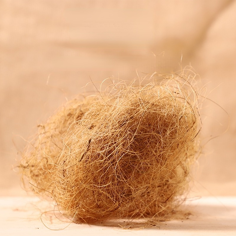 100g Finch Coconut Fiber Loose - Substrate Coconut Fiber avis et prix