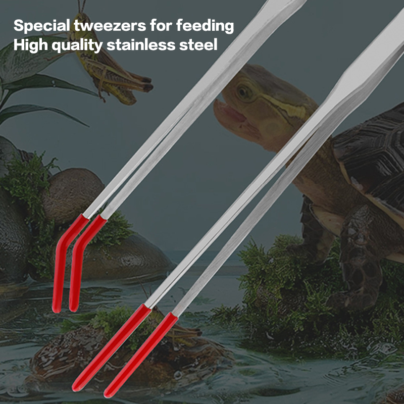 Reptile Feeding Tongs with Rub - Feeding Tong Stainless avis et prix