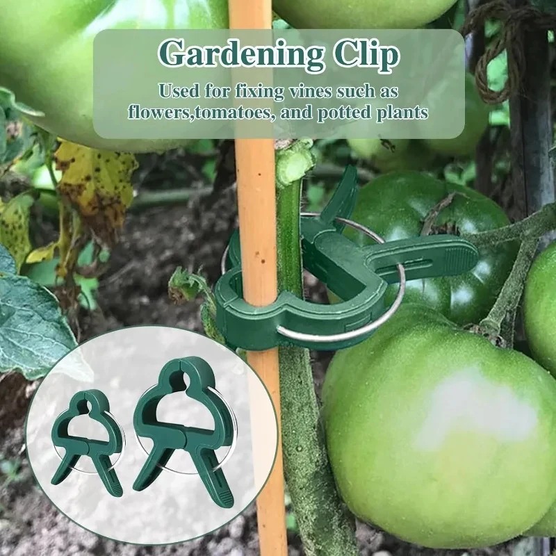 50 Reusable Plant Fixed Clips, - Vine Climbing Plastic avis et prix