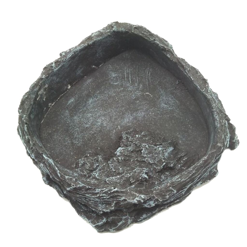 Resin Reptile Water Bowl Corne - Water Dish Reptile avis et prix