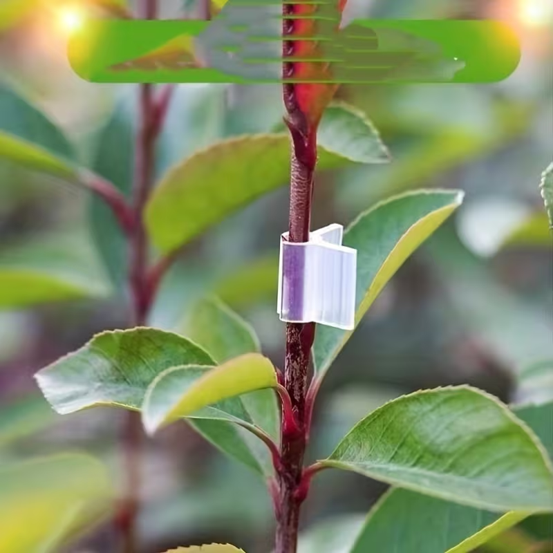 50pcs Agriculture Grafting Cli - Vine Climbing Plastic avis et prix