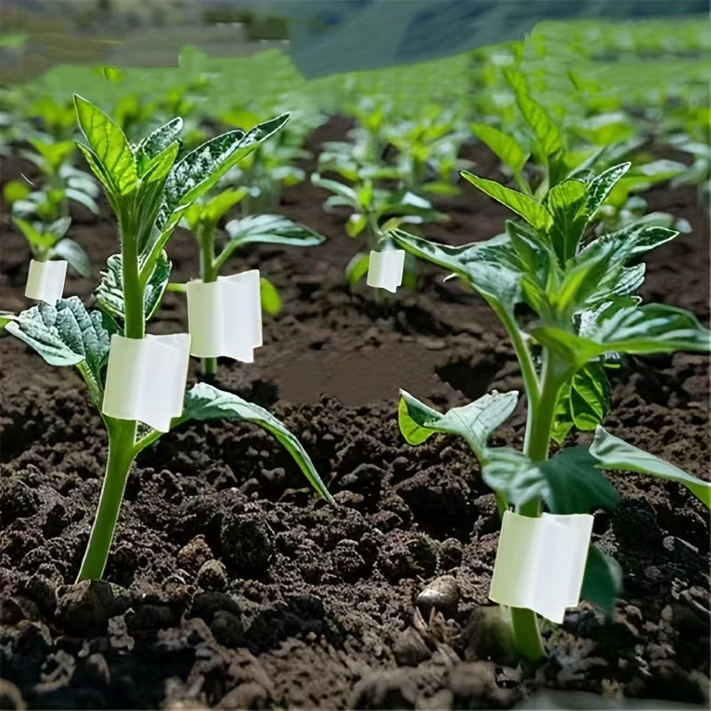 50pcs Agriculture Grafting Cli - Vine Climbing Plastic avis et prix