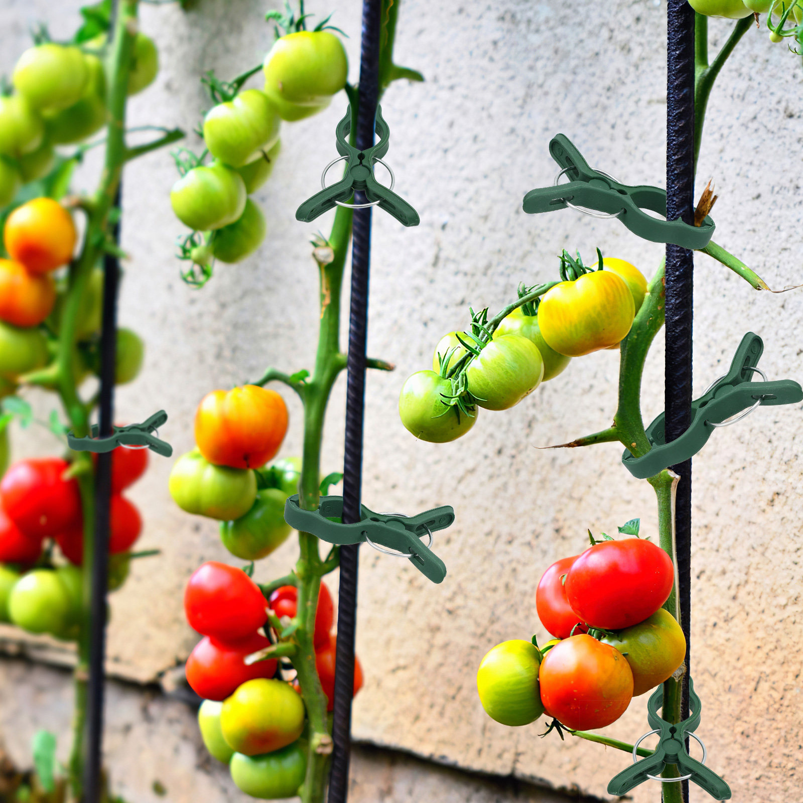 50Pcs Plastic Garden Plant Cli - Vine Climbing Plastic avis et prix