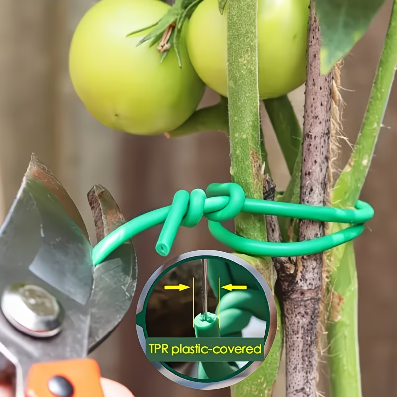 1Roll Heavy-Duty Garden Cable  - Vine Climbing Plastic avis et prix