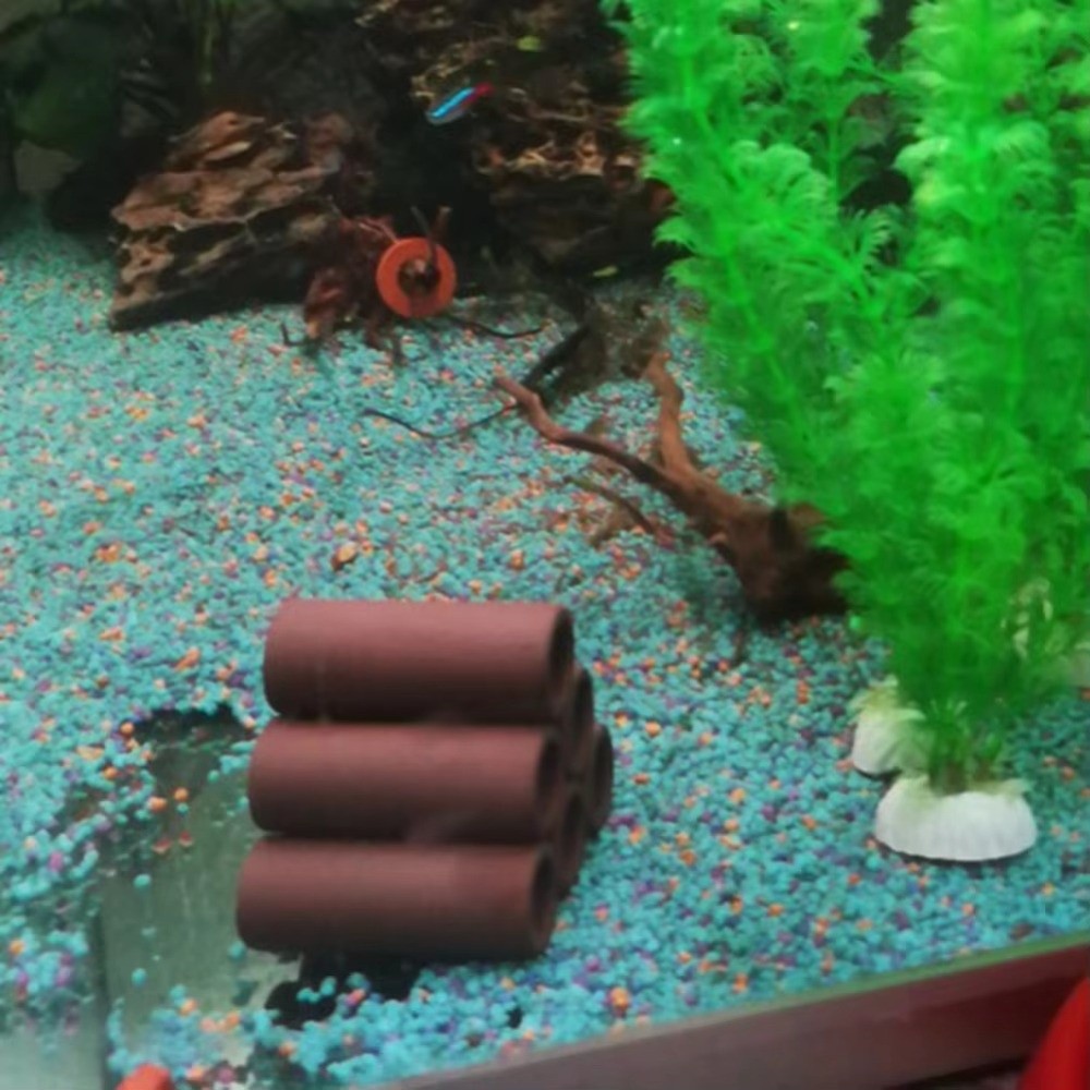 Playing Breeding Spawning Aqua - Hide Cave Ceramic avis et prix