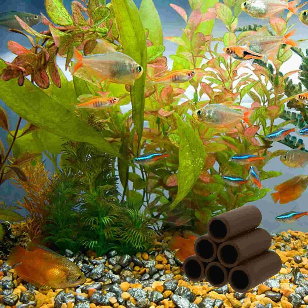 Playing Breeding Spawning Aqua - Hide Cave Ceramic avis et prix