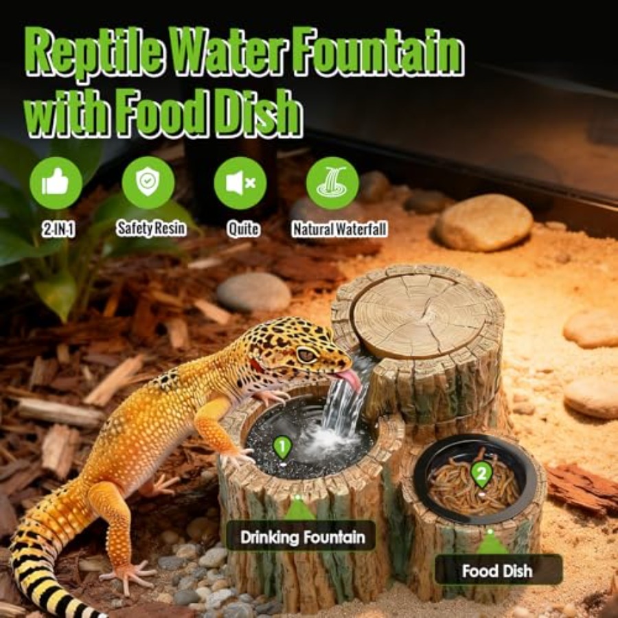 2 in 1 Reptile Water Fountain  - Water Dish Reptile avis et prix