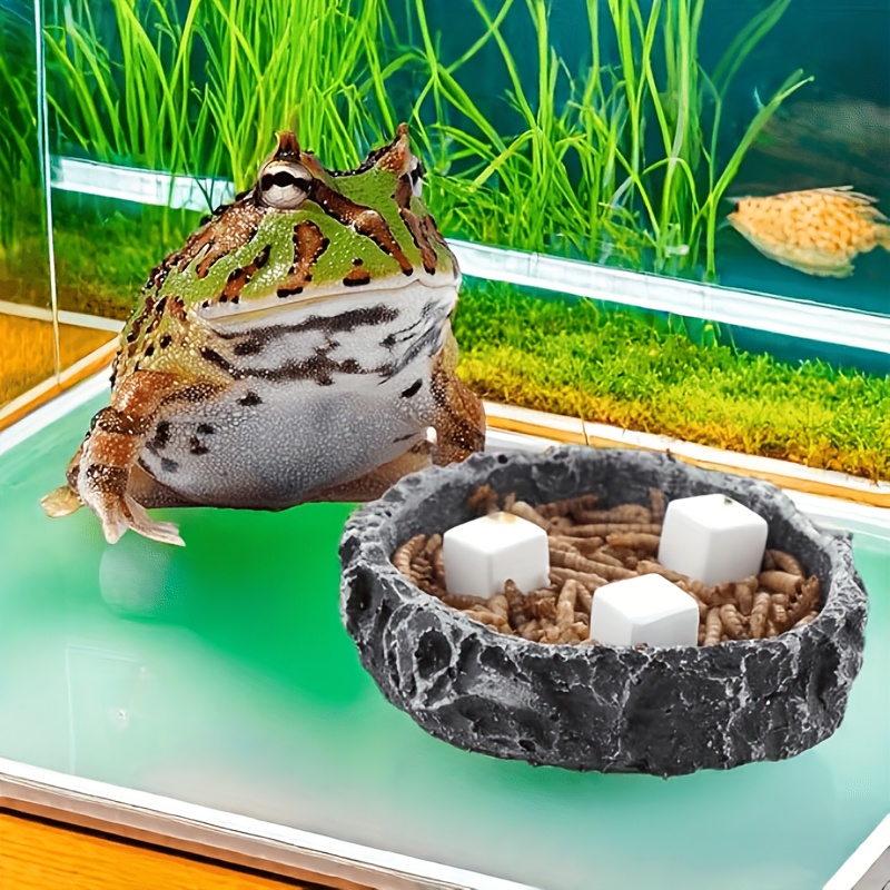 6 Pcs Fish Tank Calcium Block  - Calcium Powder Reptile avis et prix