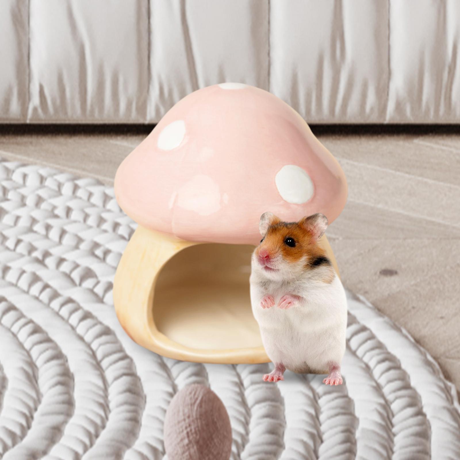 Ceramic Mushroom Hamster Hideo - Hide Cave Ceramic avis et prix